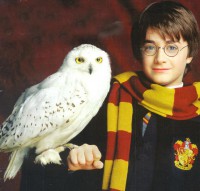 /album/fotogalerie/harry-and-hedwig-jpg/